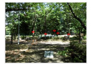 城山公園伐採
